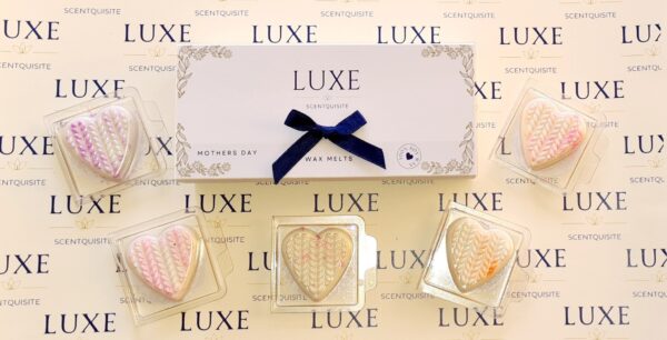 wax melts gift set for mothers day