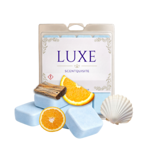 MOP - SINK - TOILET FRESHENER BOMBS