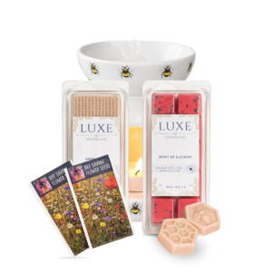 Bumble Bee Wax/Oil Warmer Bundle