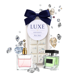 Popular Fragrance Inspired Wax Melts