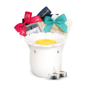 Daisy Wax/Oil Warmer Bundle Gift Set
