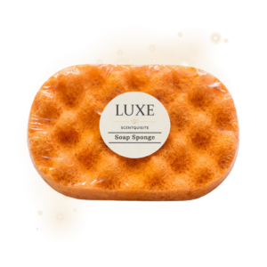 Soap Sponges